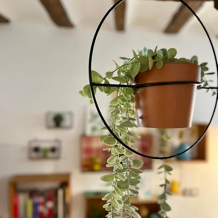 Apartmán Ca La Abuela